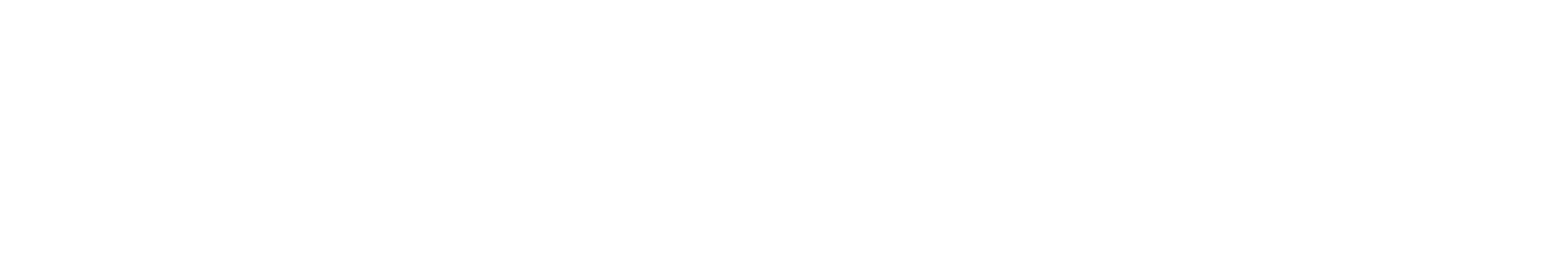 Dreisam Logo