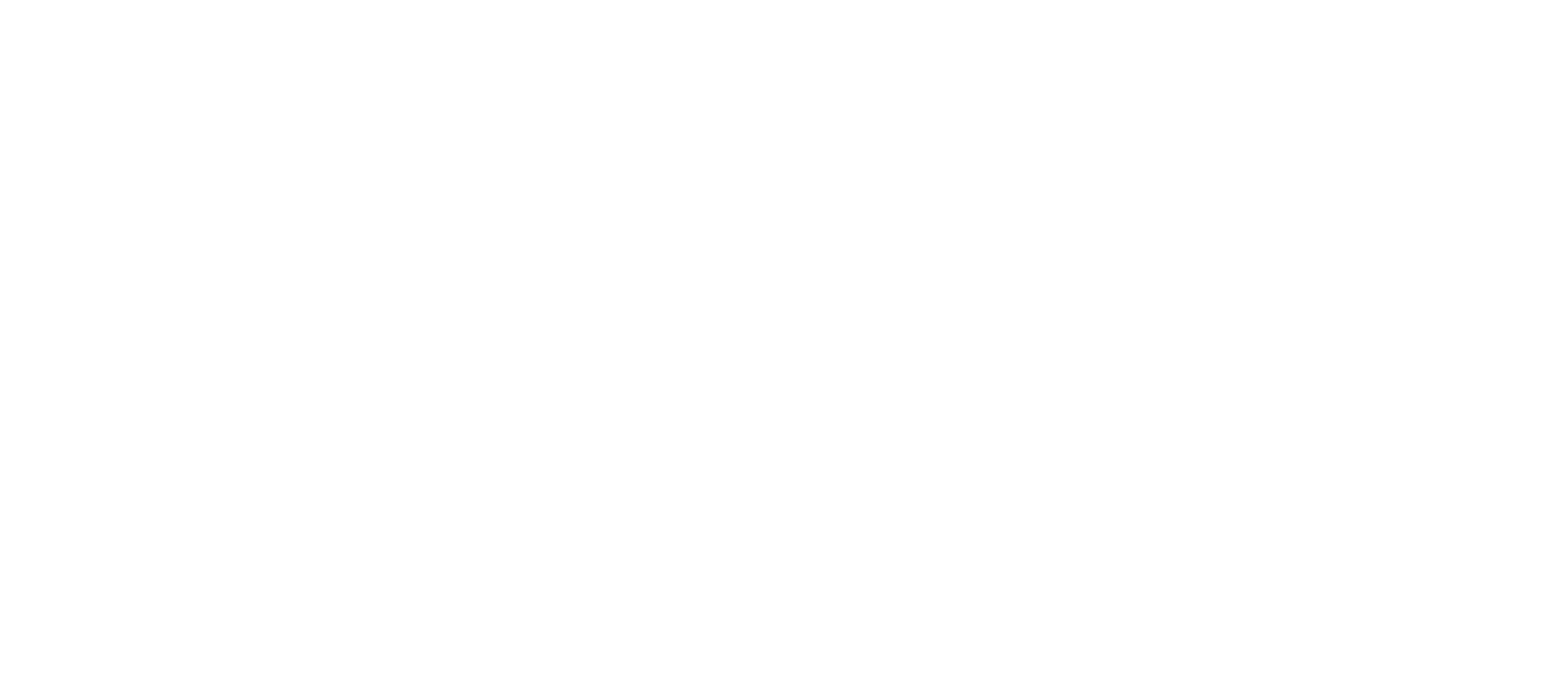 Dreisam Logo